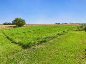 Land- click for photo gallery